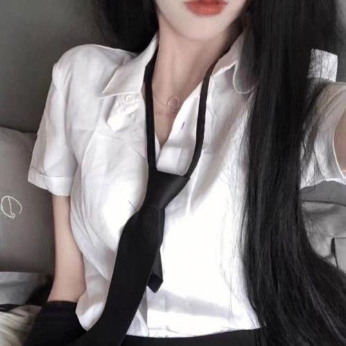 美国派:高潮再起